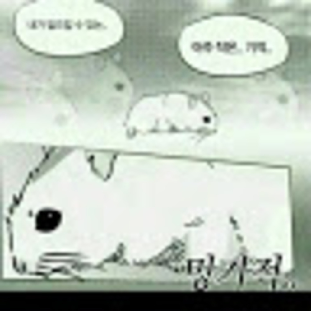 Meet your Posher, 예쁜이